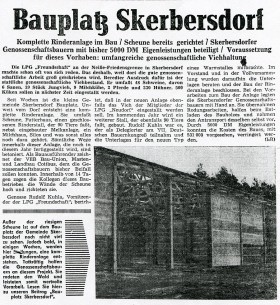 bau_rinderanlage_1963