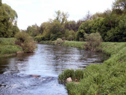 Blick vom "Hechtloch" neißeaufwärts